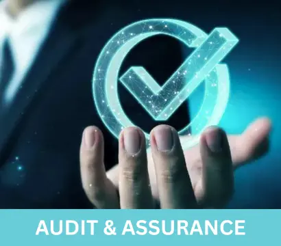 Audit & Assurance